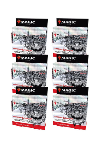 Image for Adventures in the Forgotten Realms - Collector Booster Display Case - Magic: The Gathering