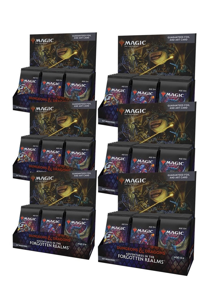 Image for Adventures in the Forgotten Realms - Set Booster Display Case - Magic: The Gathering